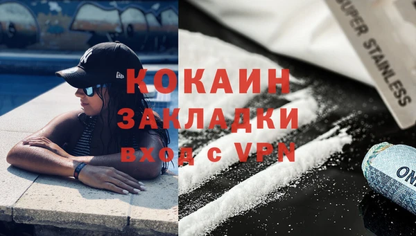 мяу мяу мука Аркадак