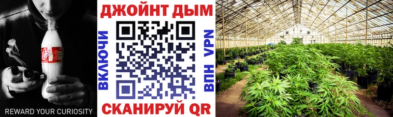 OMG ONION Гулькевичи МАРИХУАНА THC 21%